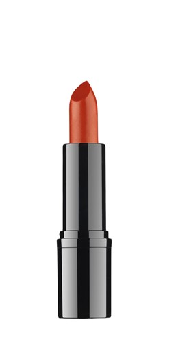 RVB LAB The Make Up Professional Lipstick 13 - profesjonalna pomadka - 3,5ml